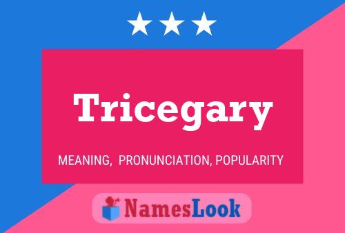 Póster del nombre Tricegary