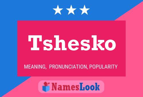 Póster del nombre Tshesko