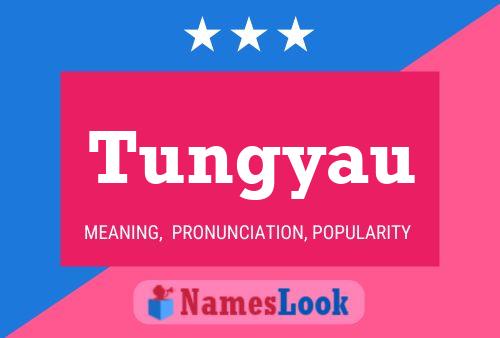 Póster del nombre Tungyau