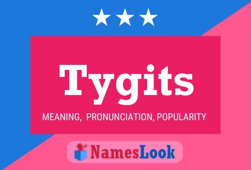 Póster del nombre Tygits