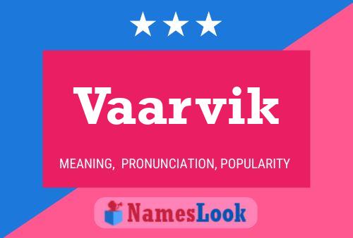 Póster del nombre Vaarvik