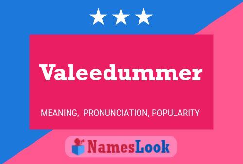 Póster del nombre Valeedummer