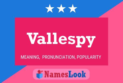 Póster del nombre Vallespy