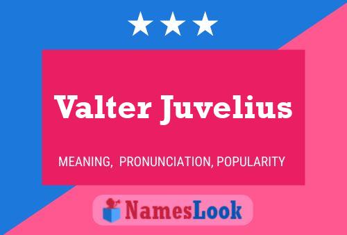 Póster del nombre Valter Juvelius