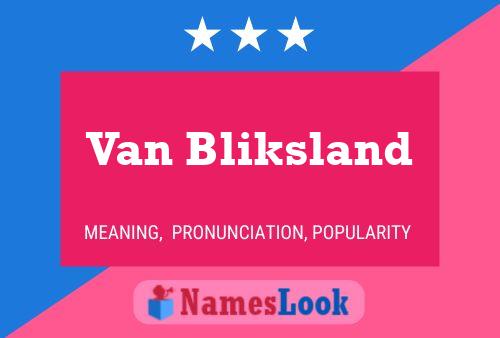 Póster del nombre Van Bliksland