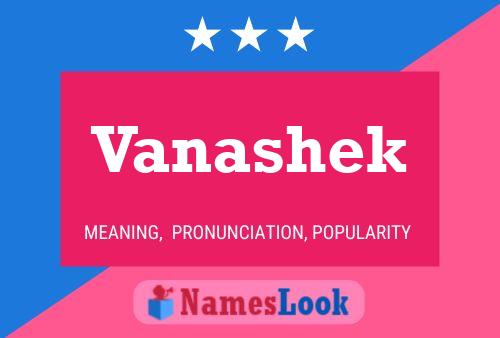 Póster del nombre Vanashek