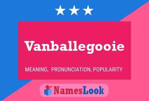 Póster del nombre Vanballegooie