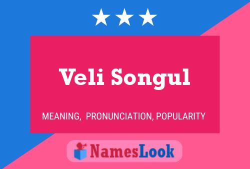 Póster del nombre Veli Songul