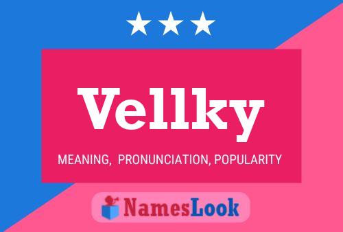 Póster del nombre Vellky