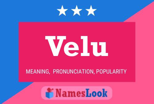 Póster del nombre Velu