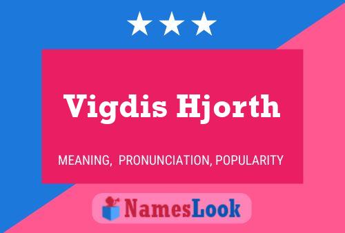 Póster del nombre Vigdis Hjorth