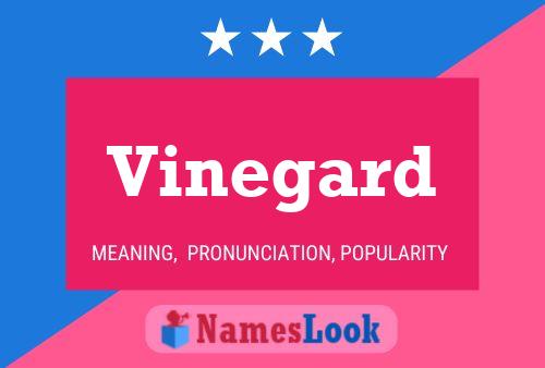 Póster del nombre Vinegard