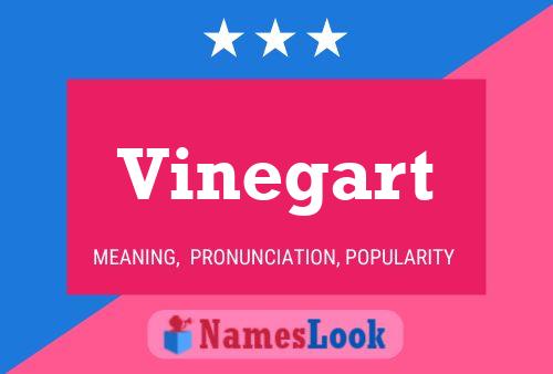 Póster del nombre Vinegart