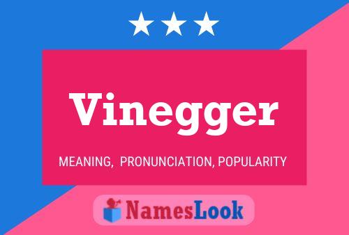 Póster del nombre Vinegger