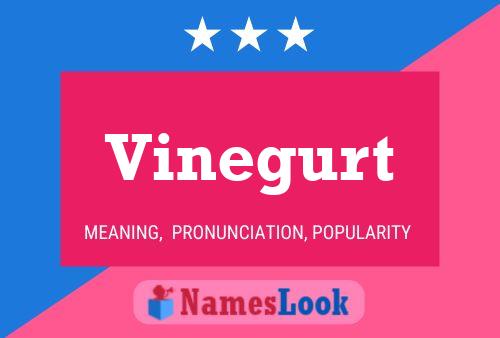 Póster del nombre Vinegurt