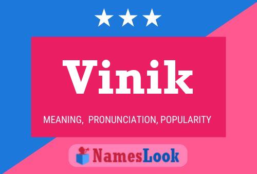 Póster del nombre Vinik