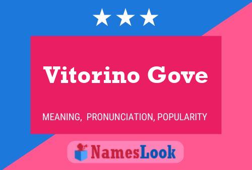 Póster del nombre Vitorino Gove