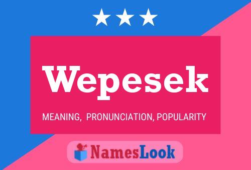 Póster del nombre Wepesek