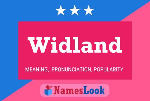 Póster del nombre Widland