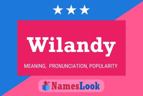 Póster del nombre Wilandy