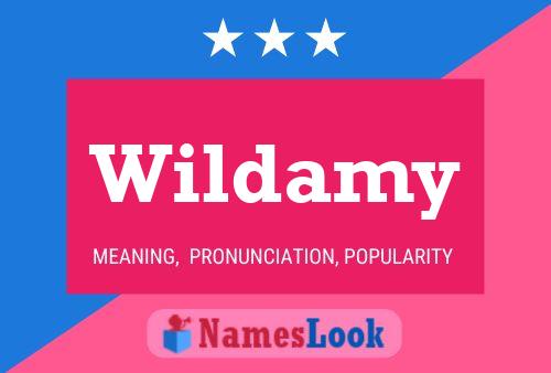 Póster del nombre Wildamy