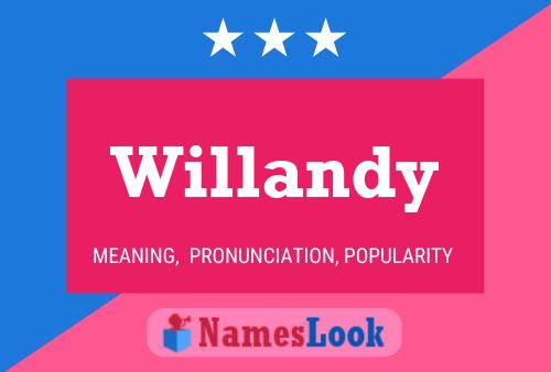 Póster del nombre Willandy