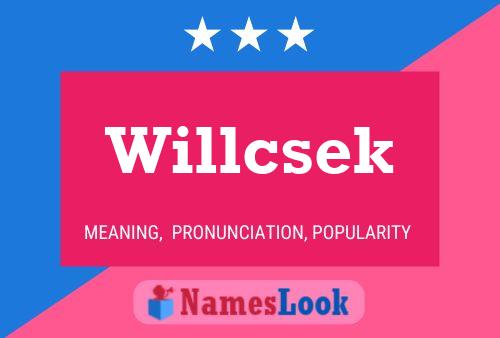 Póster del nombre Willcsek