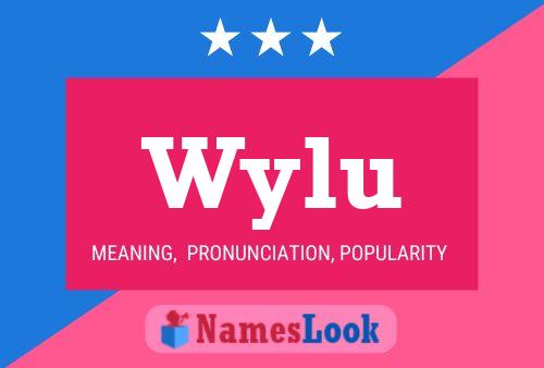 Póster del nombre Wylu