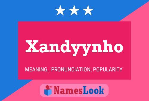 Póster del nombre Xandyynho