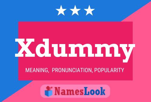 Póster del nombre Xdummy