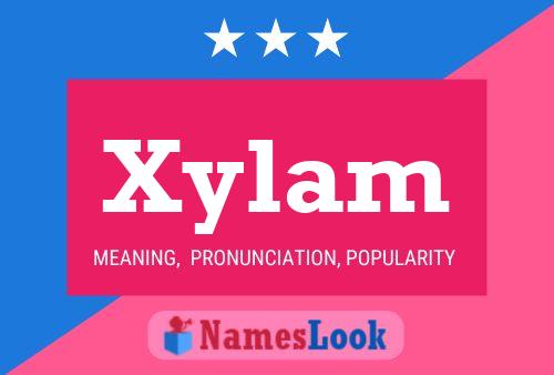 Póster del nombre Xylam