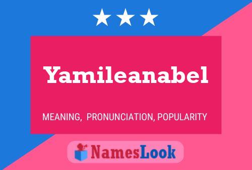 Póster del nombre Yamileanabel