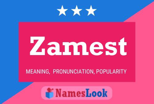 Póster del nombre Zamest