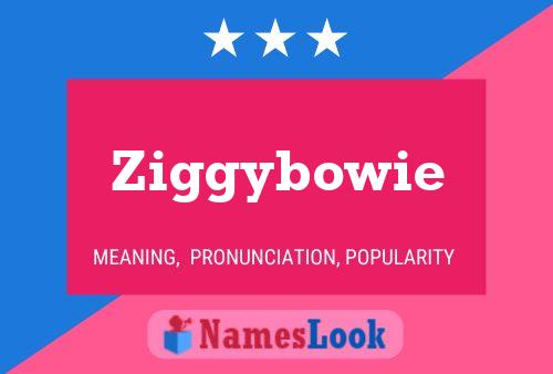 Póster del nombre Ziggybowie