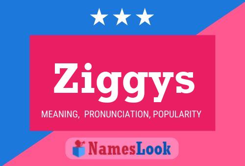 Póster del nombre Ziggys