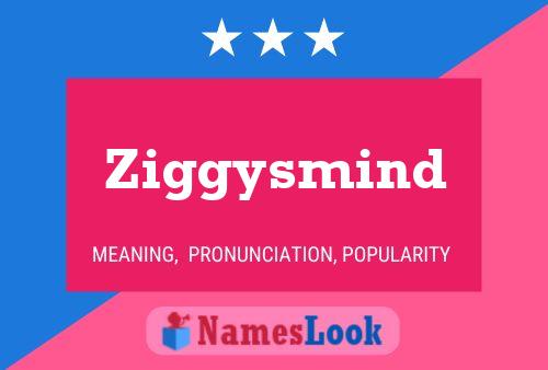 Póster del nombre Ziggysmind