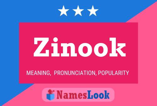 Póster del nombre Zinook