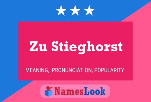 Póster del nombre Zu Stieghorst