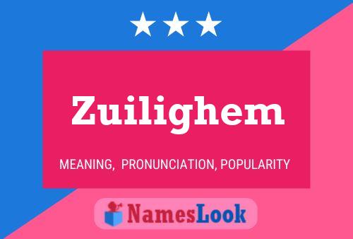 Póster del nombre Zuilighem