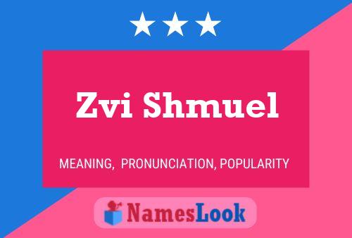 Póster del nombre Zvi Shmuel