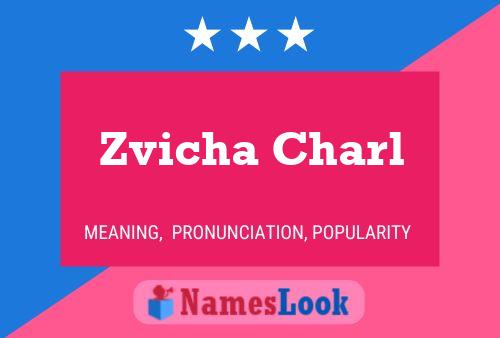 Póster del nombre Zvicha Charl