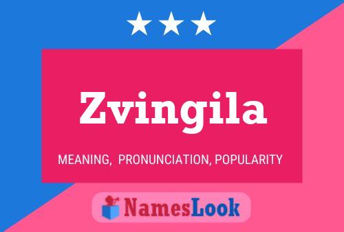 Póster del nombre Zvingila