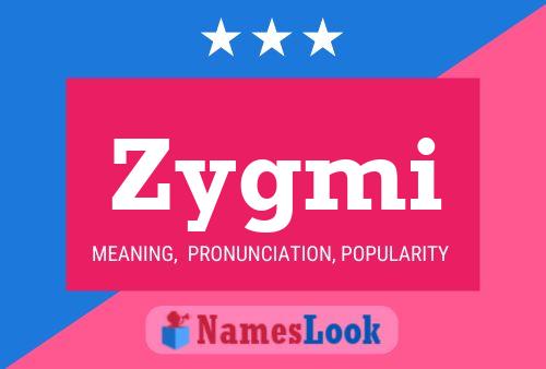 Póster del nombre Zygmi